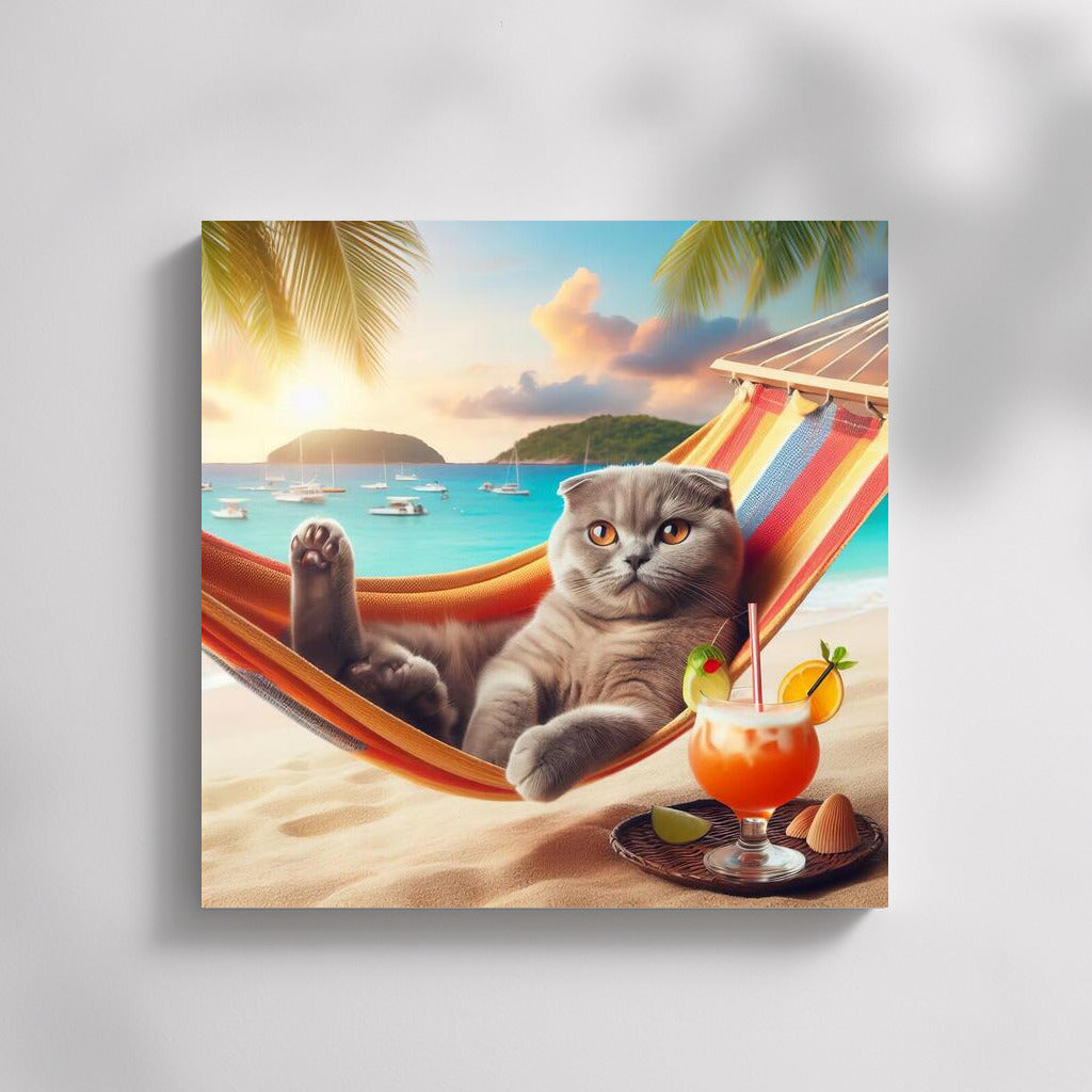 Scottish Fold on Beach Vacation with Cocktail