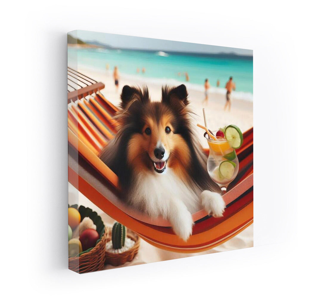 Sheltie on the Beach: Relaxing in a Hammock with a Cocktail
