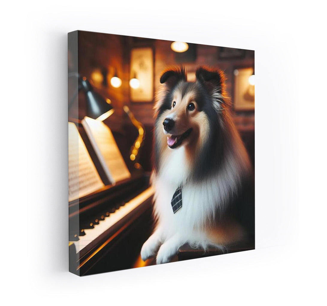 Jazz Evening with Sheltie: Musical Charm in the Club