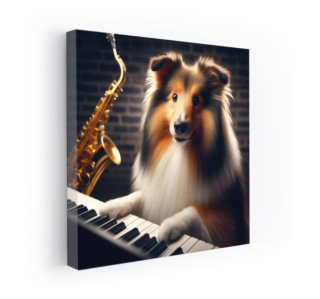 Jazz Virtuoso: Sheltie at the Piano in the Club