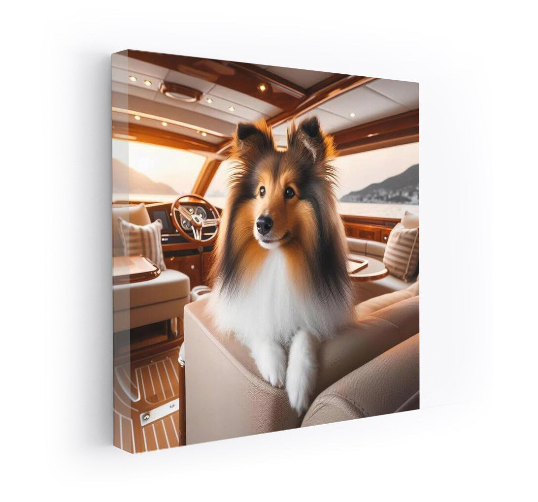 Sheltie on a Yacht: Luxurious Shetland Sheepdog on the Seas