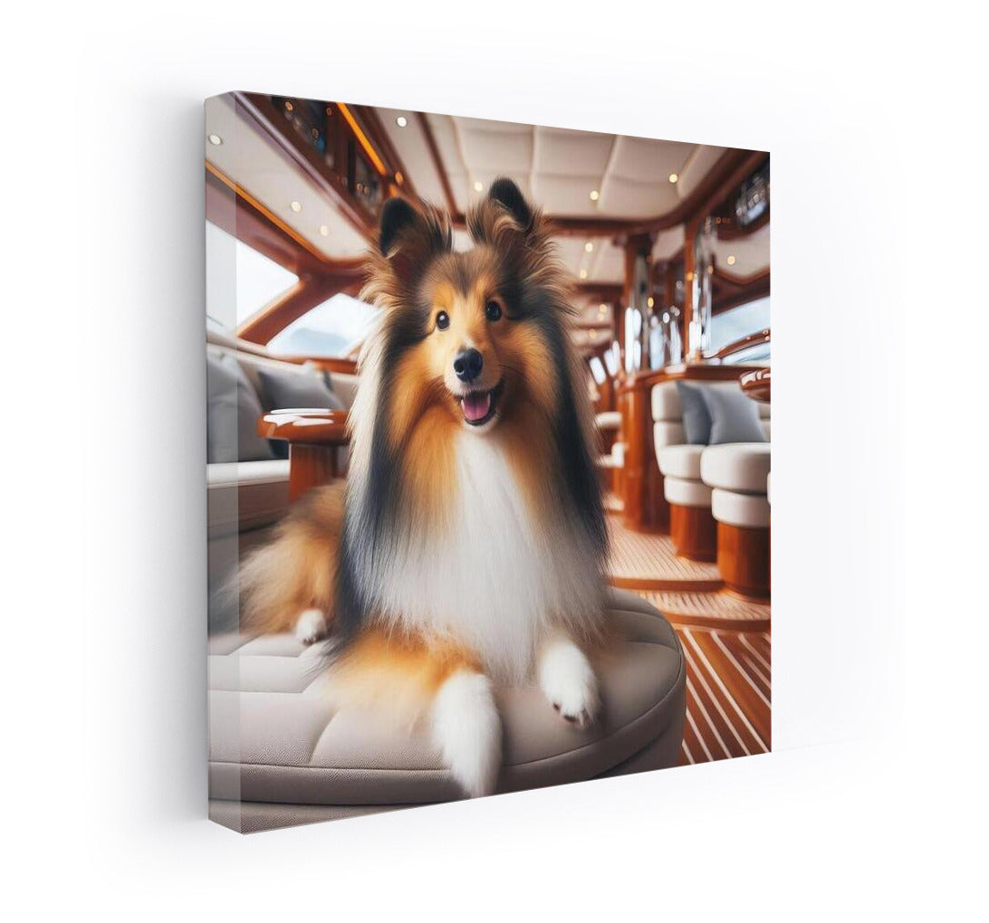 Sheltie on a Yacht: Elegant Relaxation on the Wave