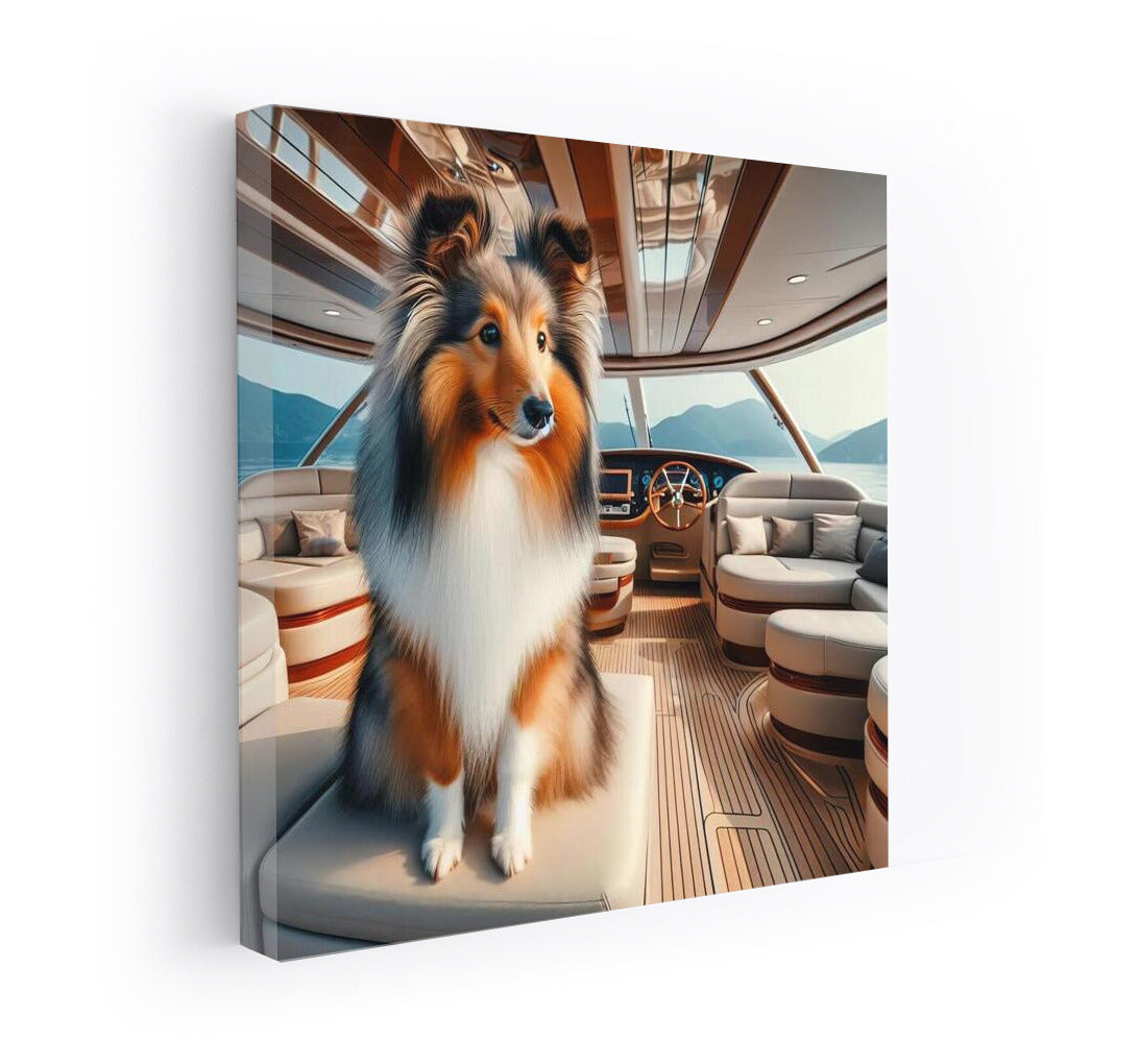 Sheltie on a Yacht: Maritime Elegance