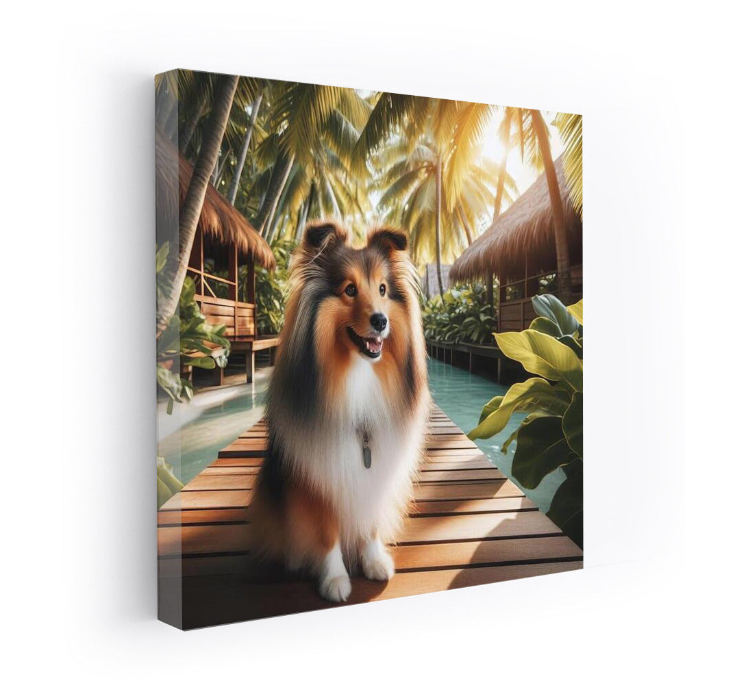 Sheltie in Tropical Paradise: Adventure and Tranquility