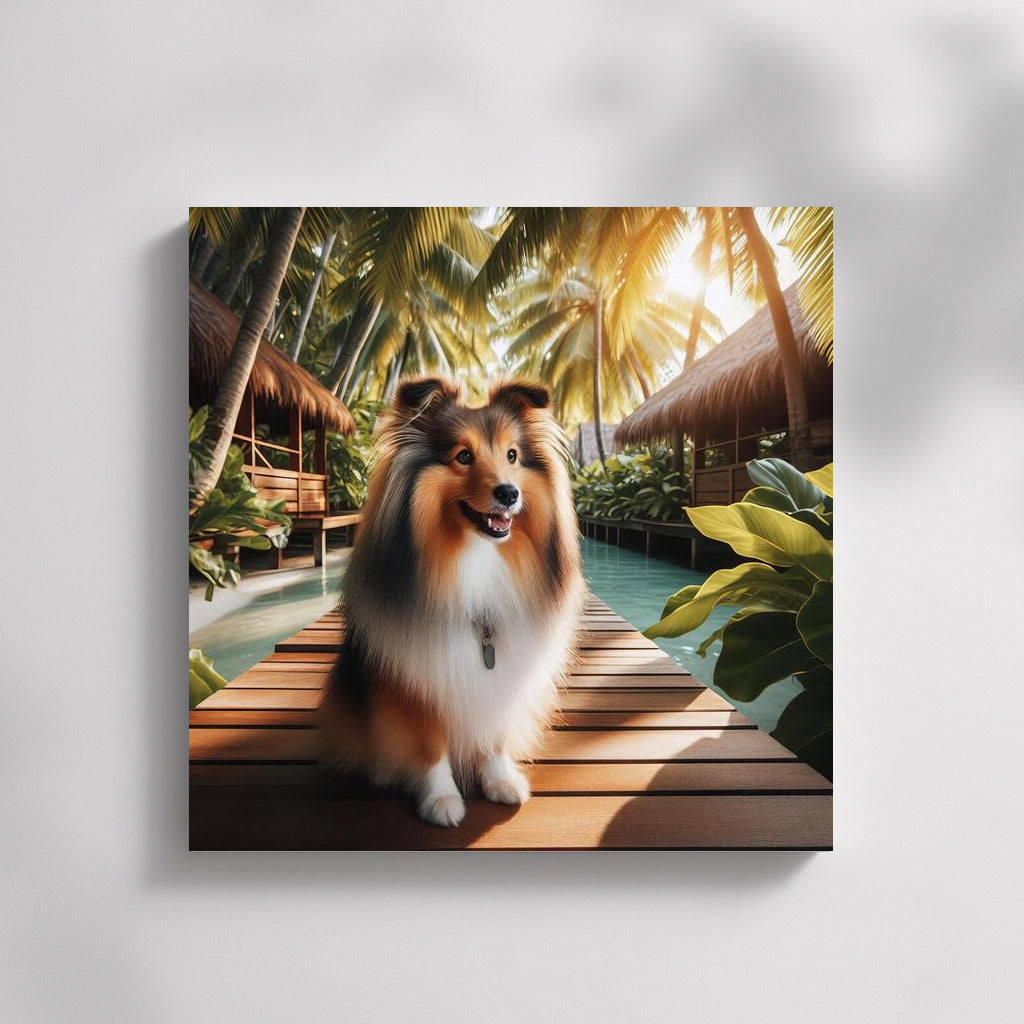 Sheltie in Tropical Paradise: Adventure and Tranquility