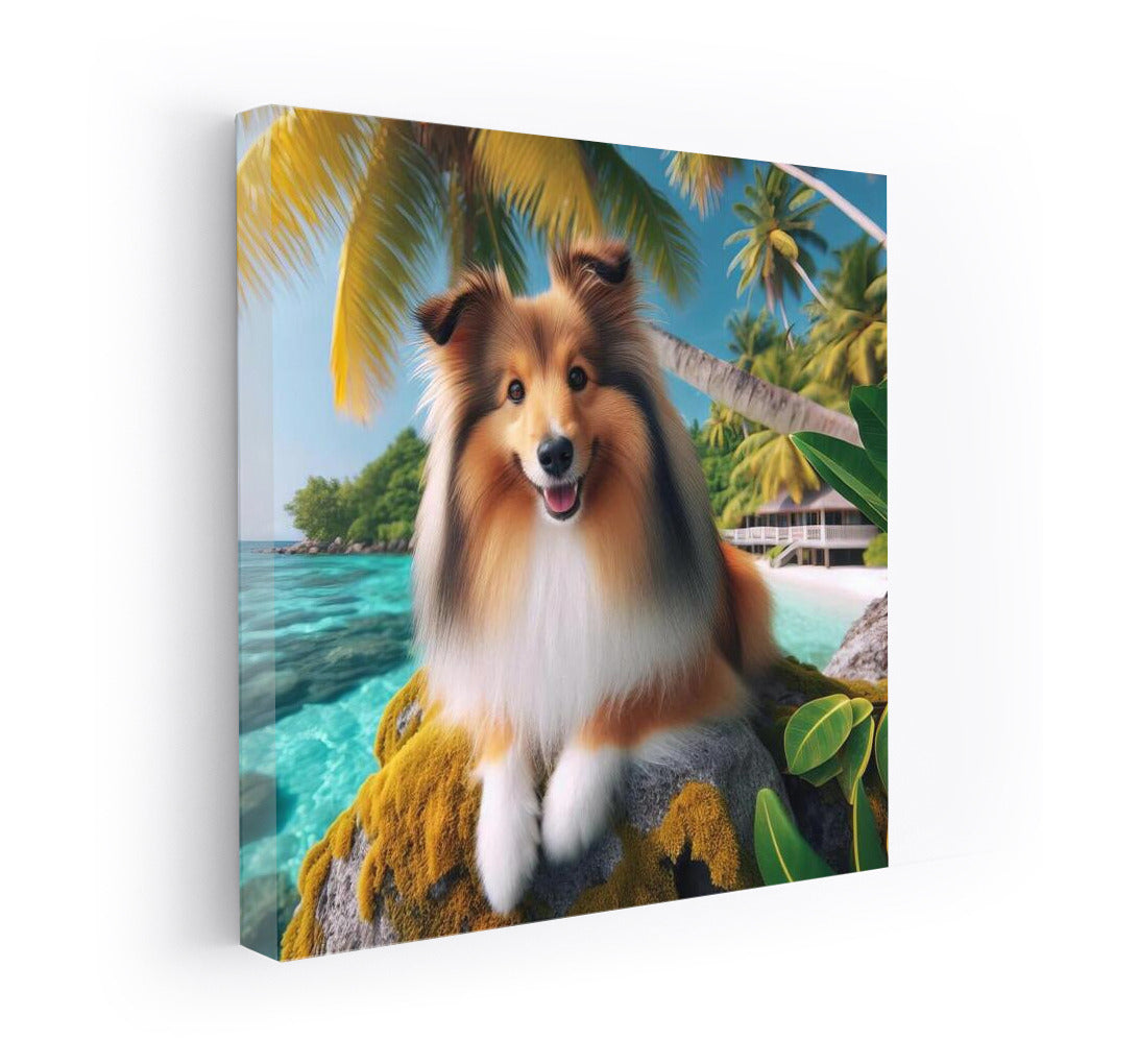 Shelties in Tropical Paradise: The Fluffy Charm of Exotica