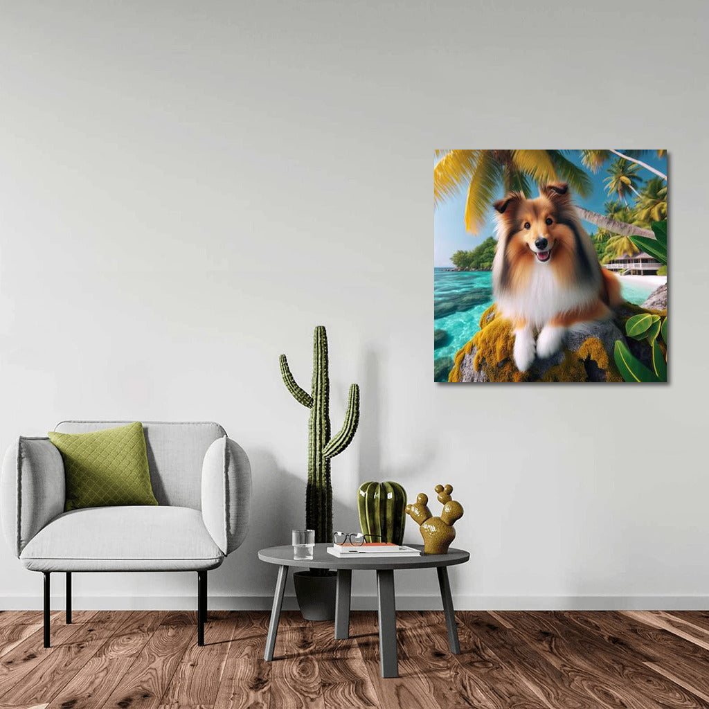 Shelties in Tropical Paradise: The Fluffy Charm of Exotica