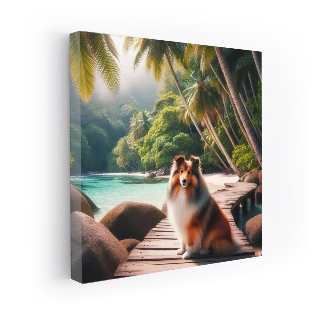Shelties in Tropical Paradise: The Charm of the Shetland Sheepdog