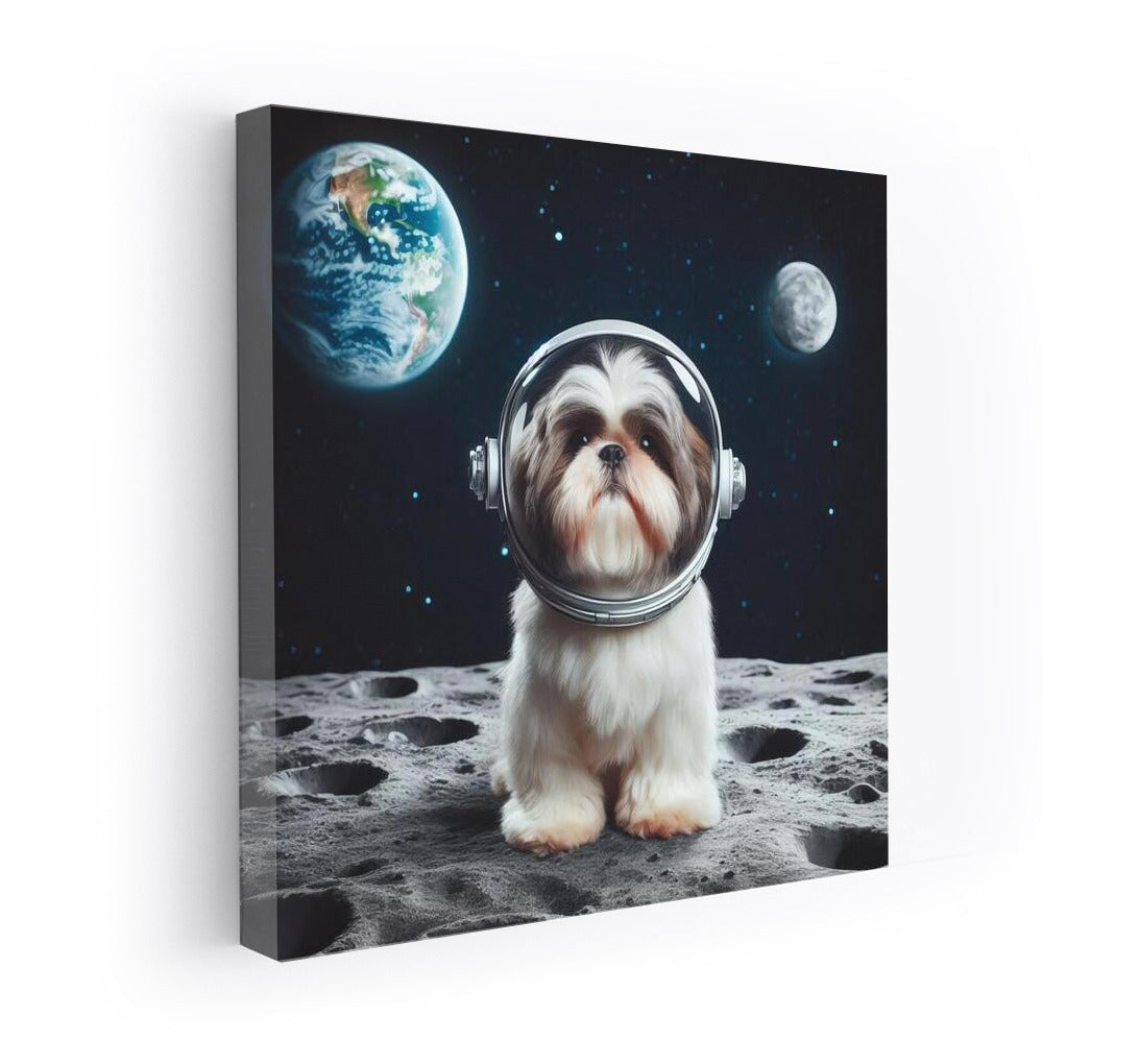 Shih Tzu on the Moon: A Space Adventure