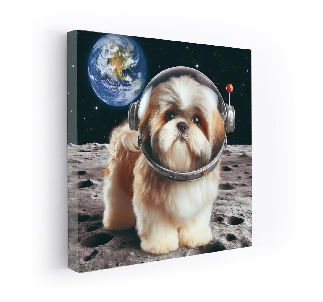 Moon Fluffy: Shih Tzu on the Moon