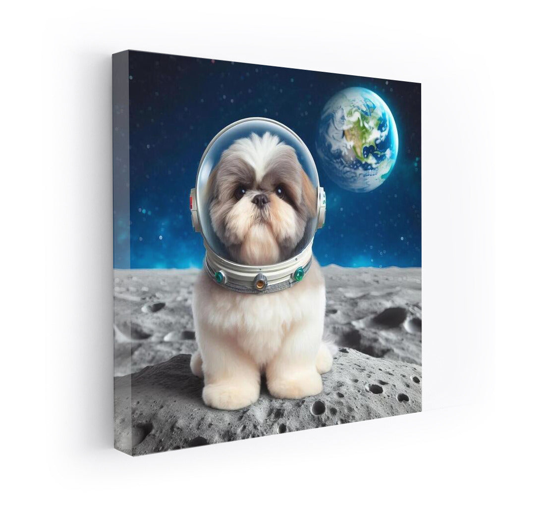 Shih Tzu Cosmonaut: Moon Adventure
