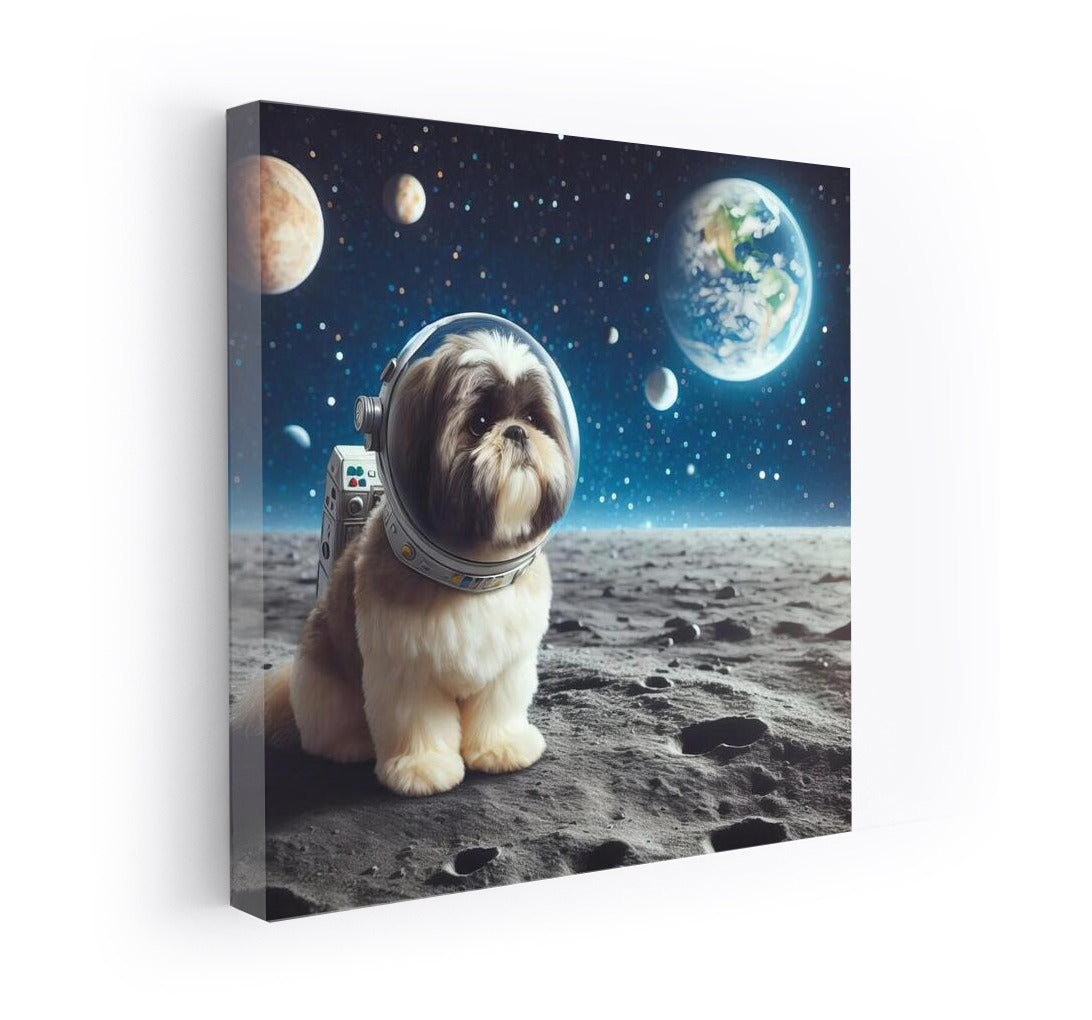 Moonlit Shih Tzu: Space Adventure