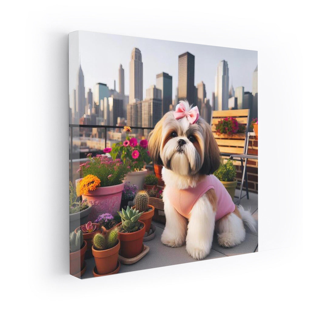 Shih Tzu on the roof of a metropolis: harmony of nature in the urban landscape