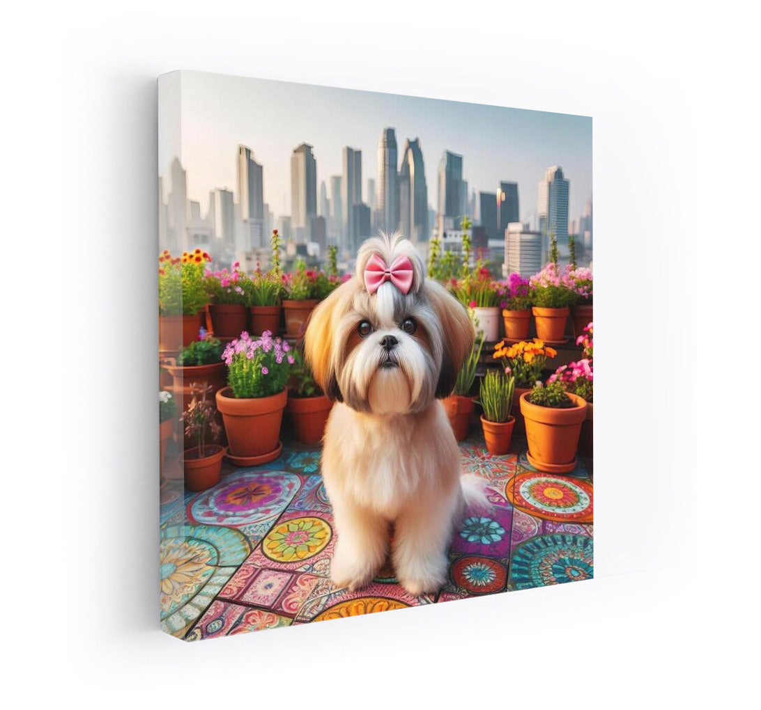 Shih Tzu on a city roof: a stylish look at the panorama