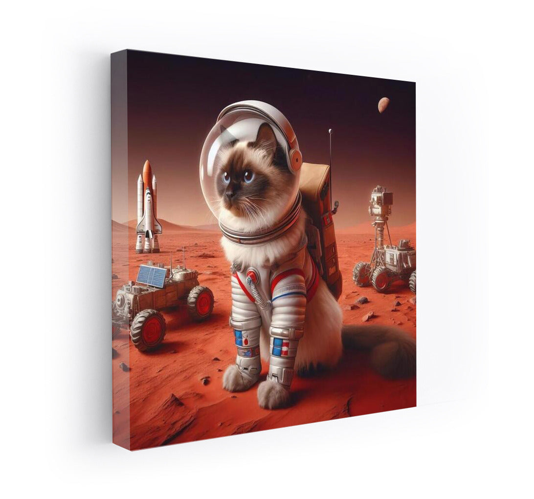 Siamese Cat on Mars: A Space Adventure in a Spacesuit