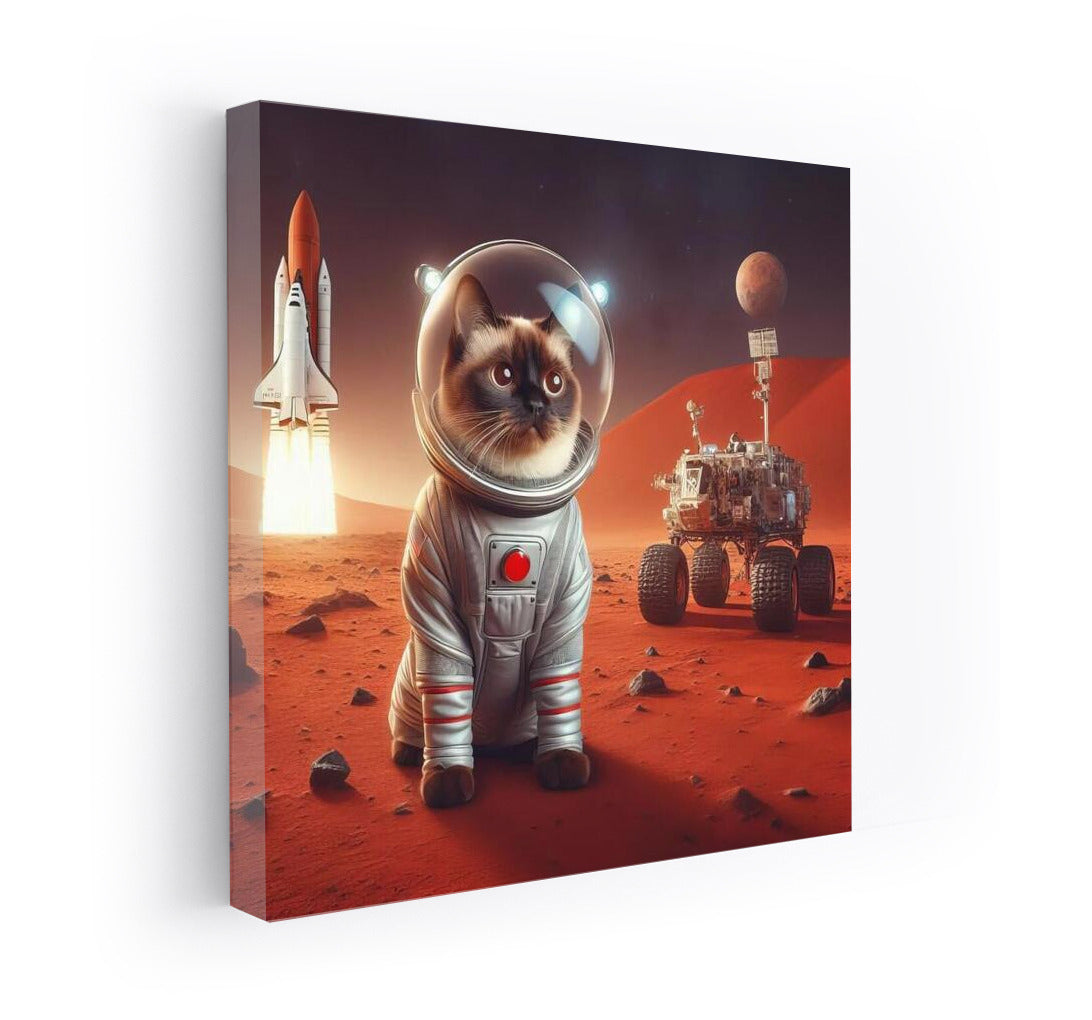 Siamese Cat on Mars: Space Adventure with a Rocket