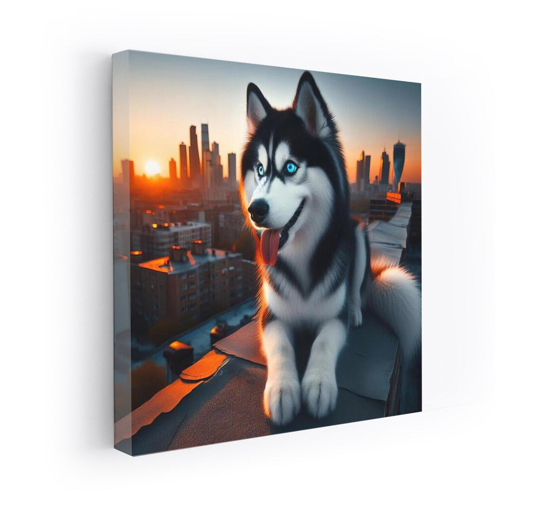 Siberian Husky on a City Roof: Freedom and Adventure
