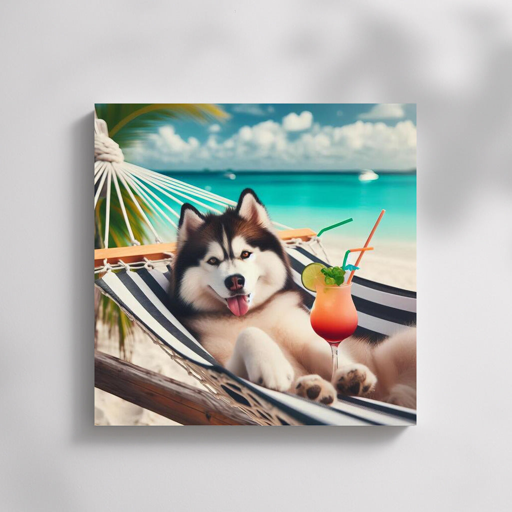Siberian Husky in a Hammock: Summer Beach Fun with a Cocktail