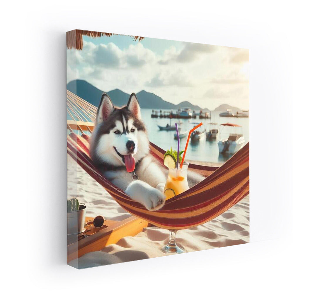 Siberian Husky on Beach Vacation with Cocktail