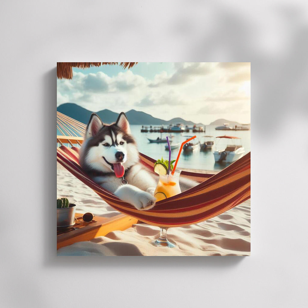 Siberian Husky on Beach Vacation with Cocktail