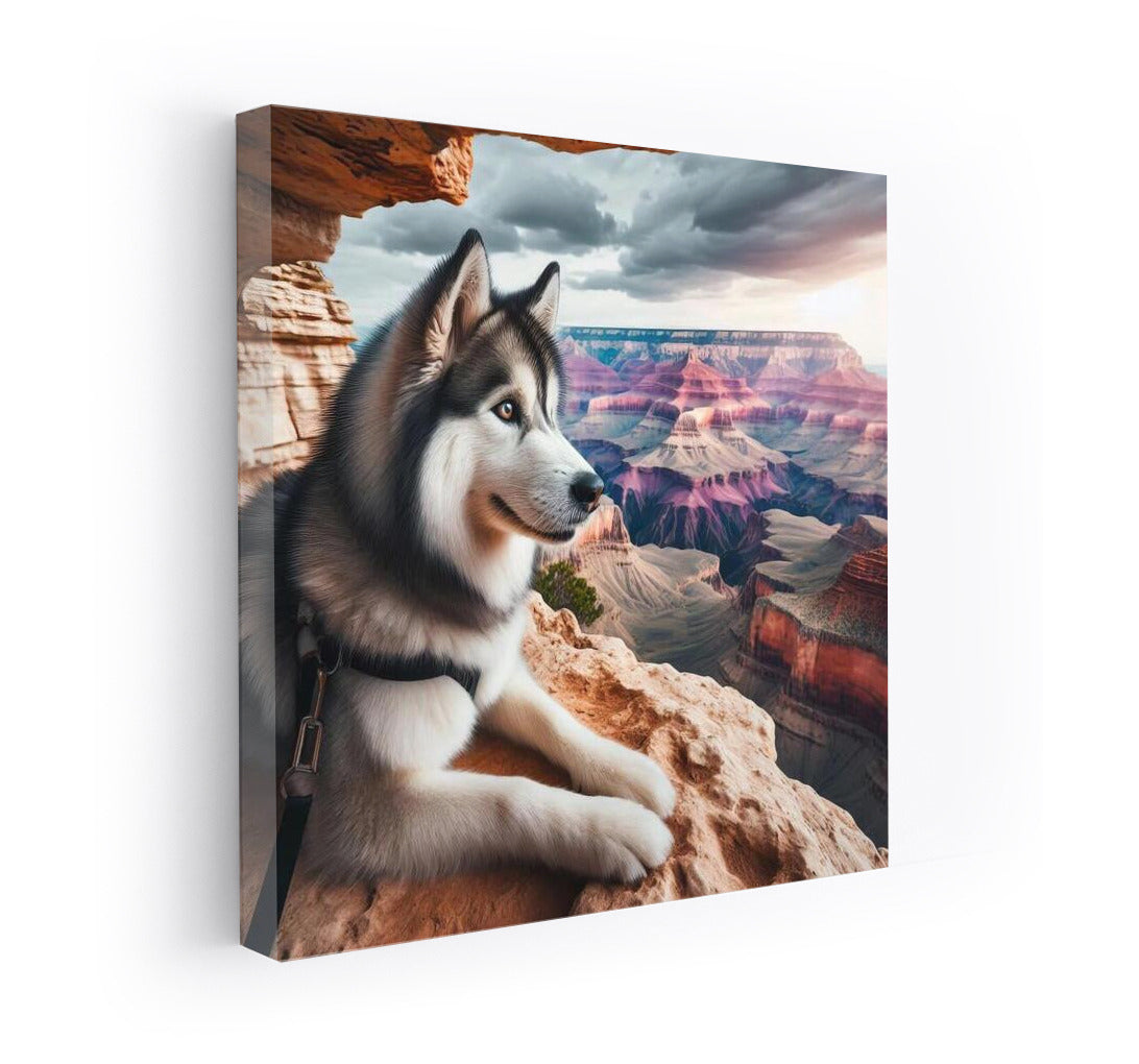 Huskies on the Rim of the Grand Canyon: Adventure in the Heart of Nature