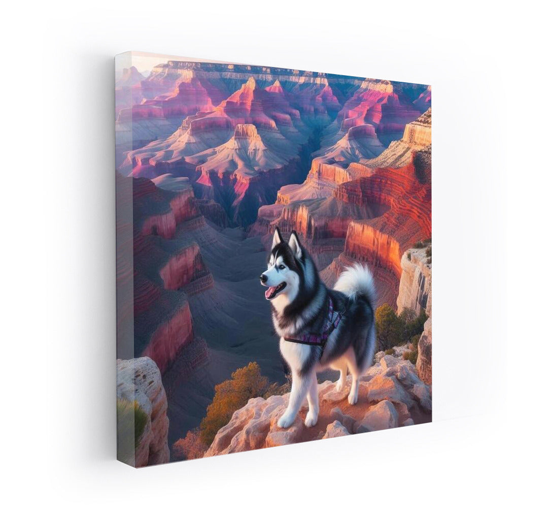 Huskies in the Grand Canyon: Journey to the Heights of Adventure
