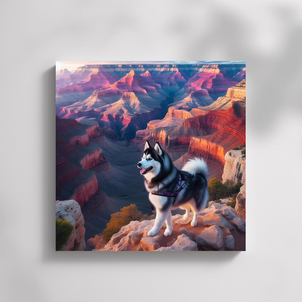 Huskies in the Grand Canyon: Journey to the Heights of Adventure