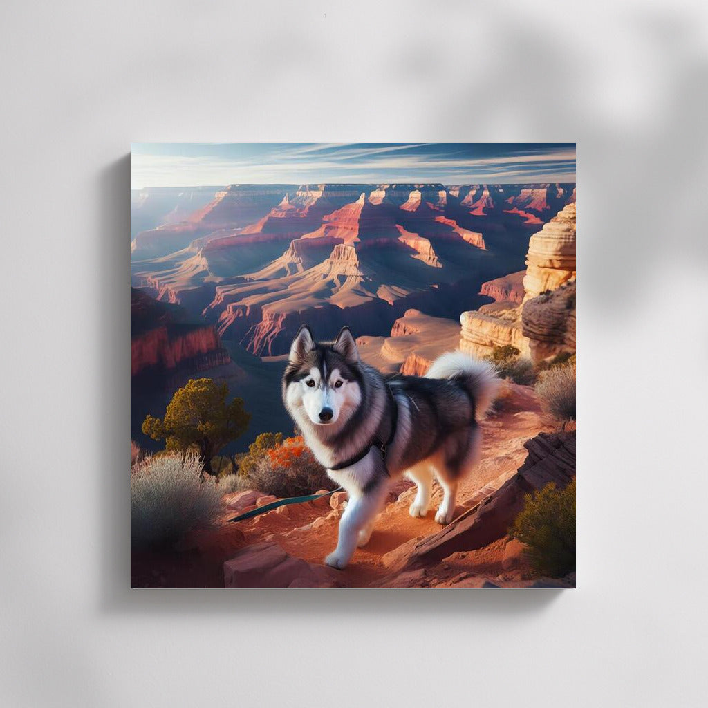 Siberian Husky in the Grand Canyon: Adventure at the End of the Earth