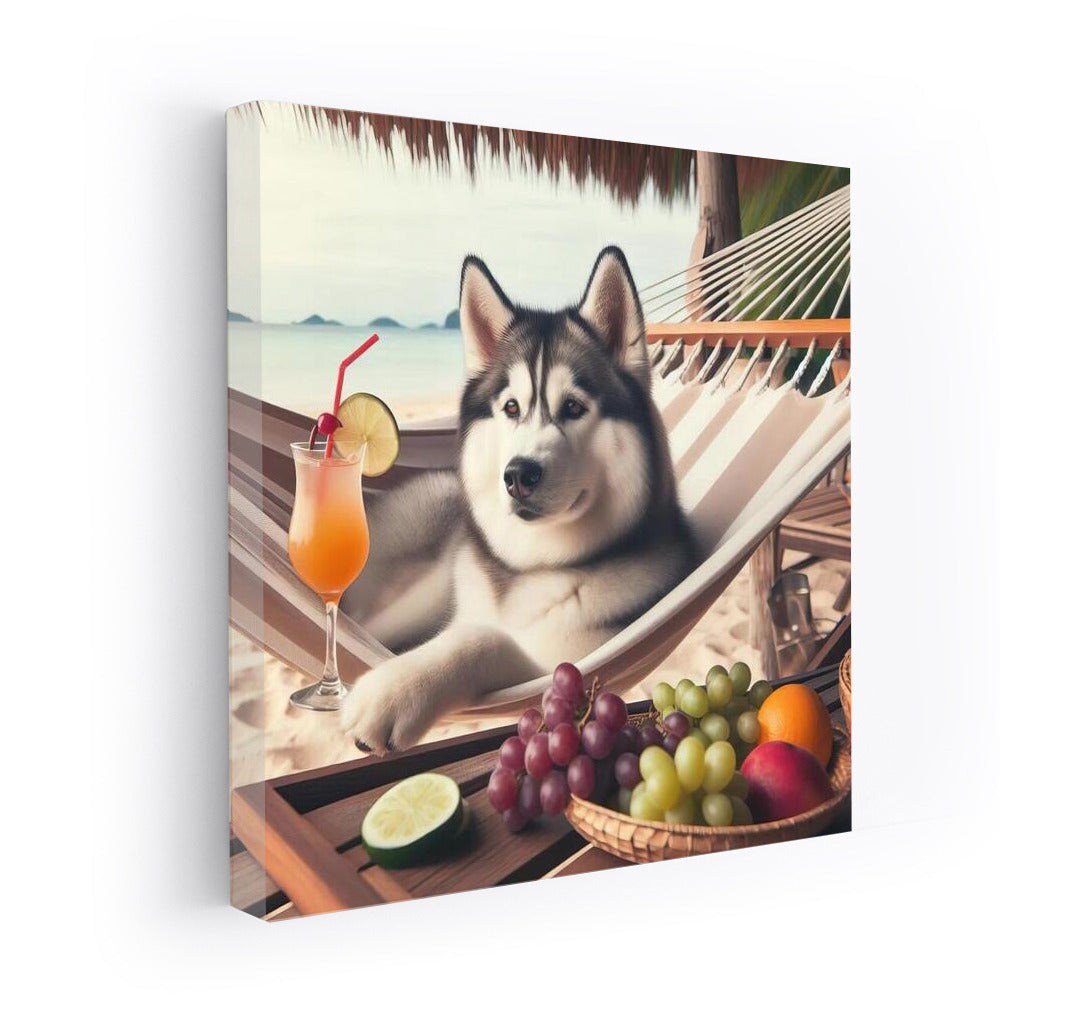 Siberian Husky in a Hammock: Beach Relaxation with a Cocktail
