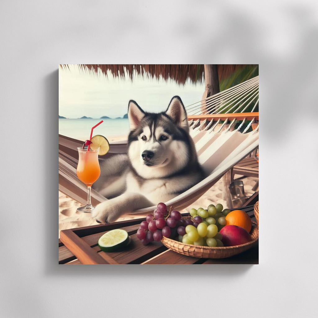 Siberian Husky in a Hammock: Beach Relaxation with a Cocktail