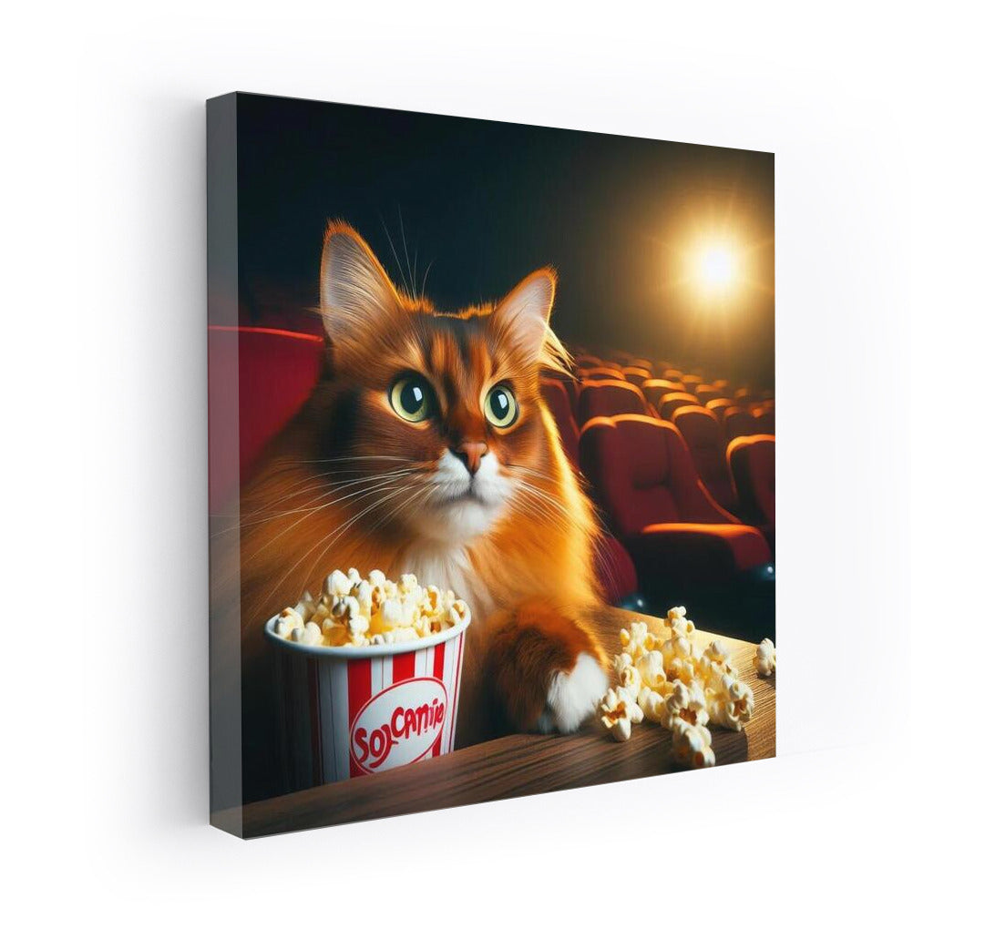 Somali Cat in the Movie: Popcorn and Adventures