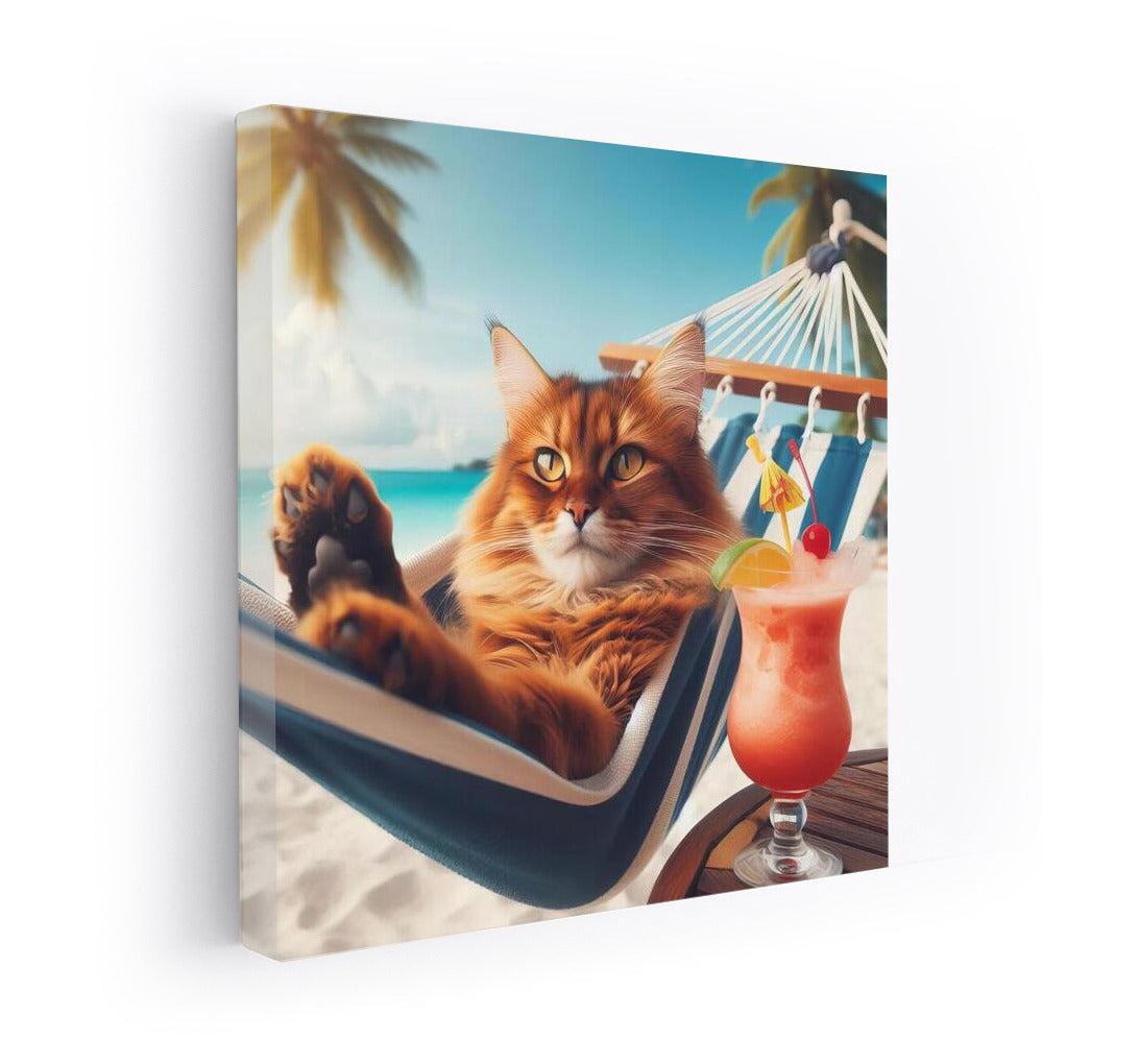 Somali cat in a hammock with a cocktail on the beach