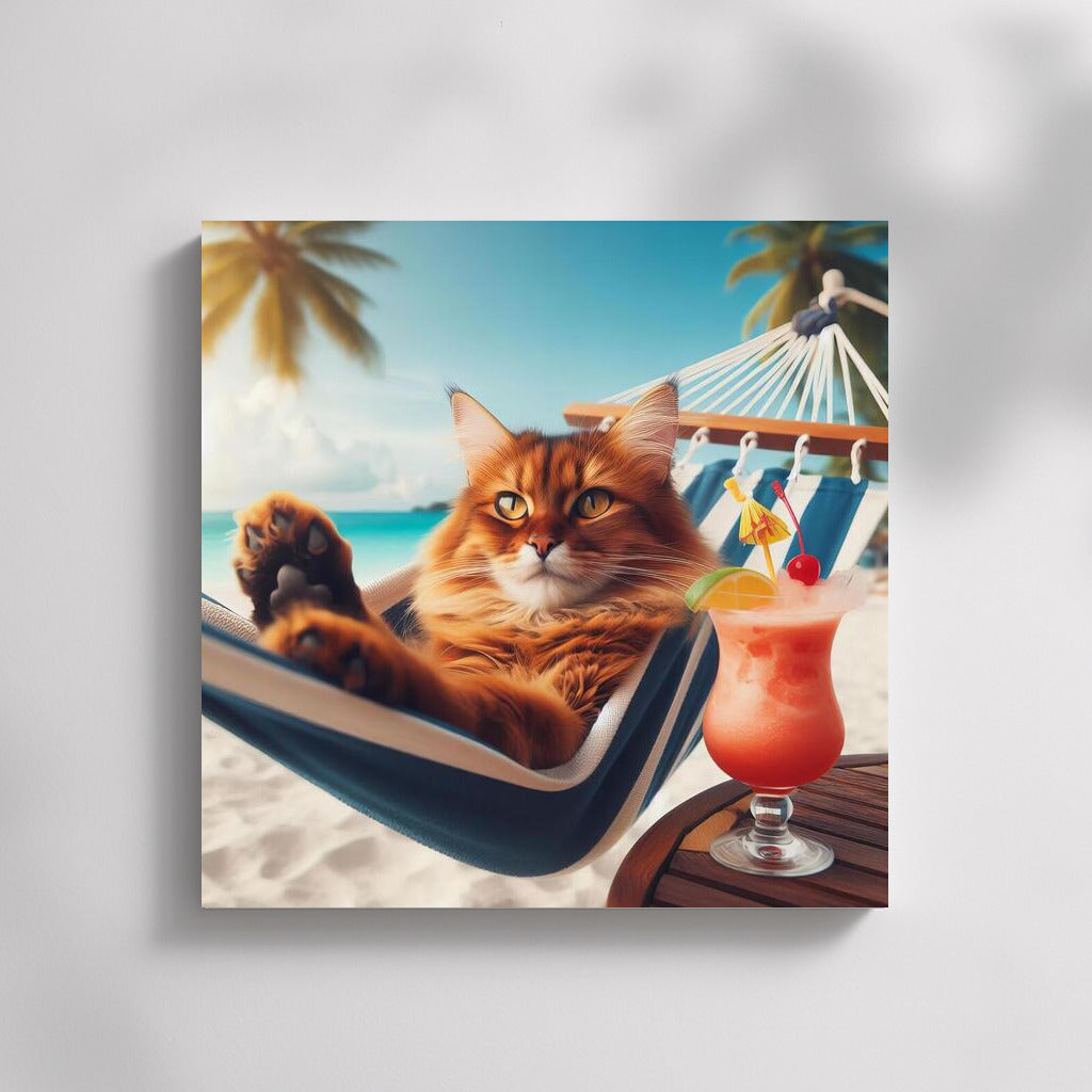 Somali cat in a hammock with a cocktail on the beach