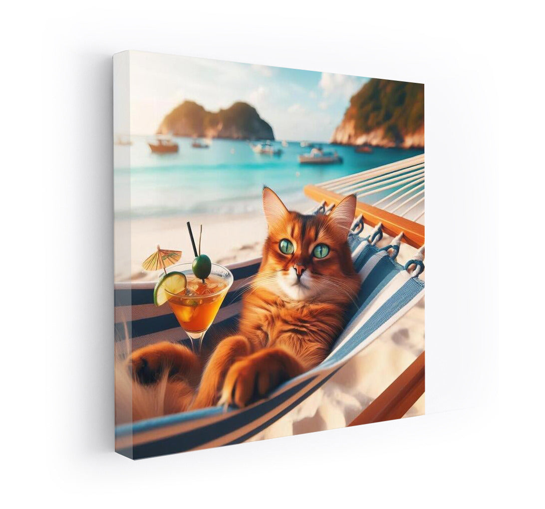 Somali Cat in a Hammock: Summer Beach Vacation with a Cocktail