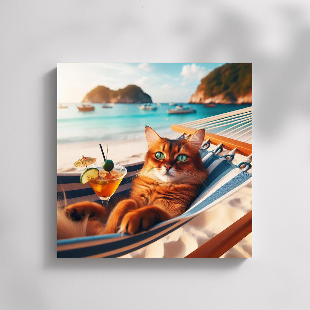 Somali Cat in a Hammock: Summer Beach Vacation with a Cocktail