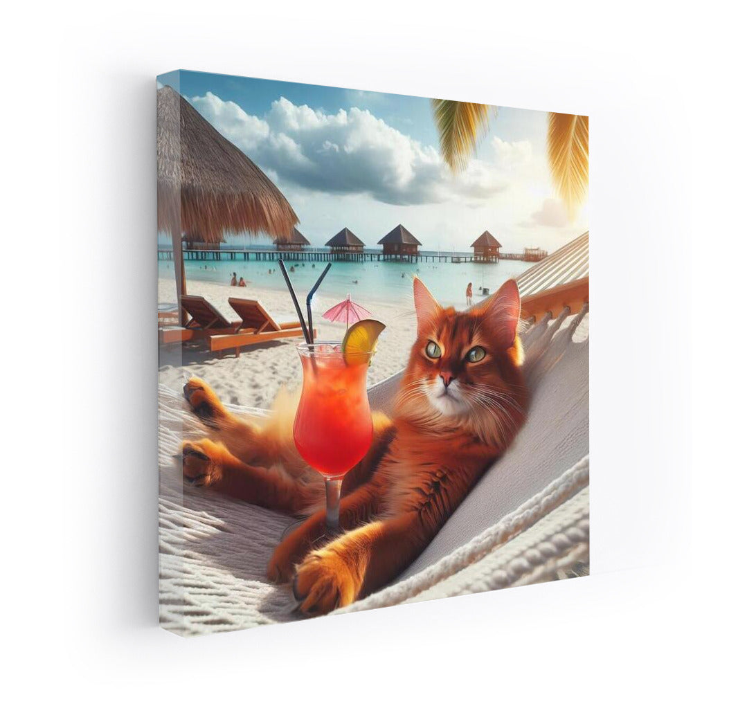 Somali Cat in a Hammock: Cocktail Bliss on the Beach