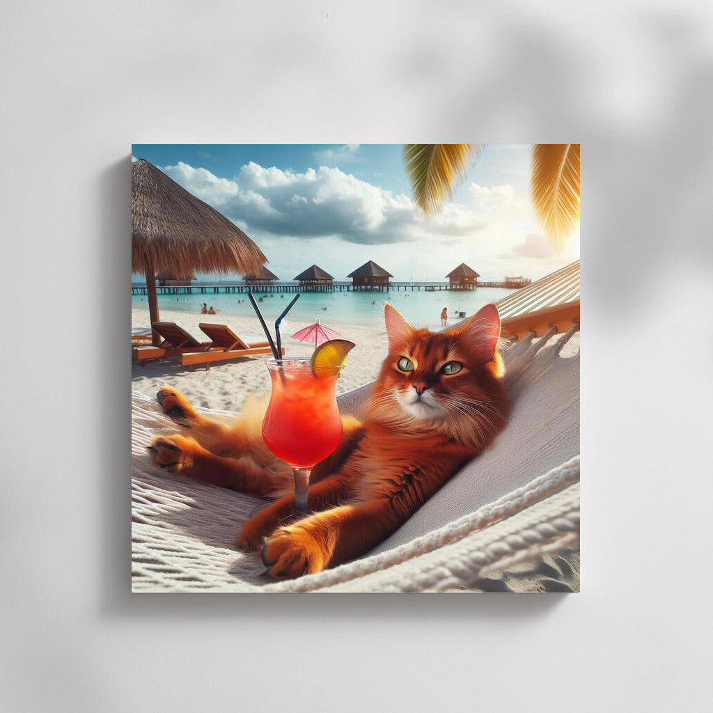 Somali Cat in a Hammock: Cocktail Bliss on the Beach