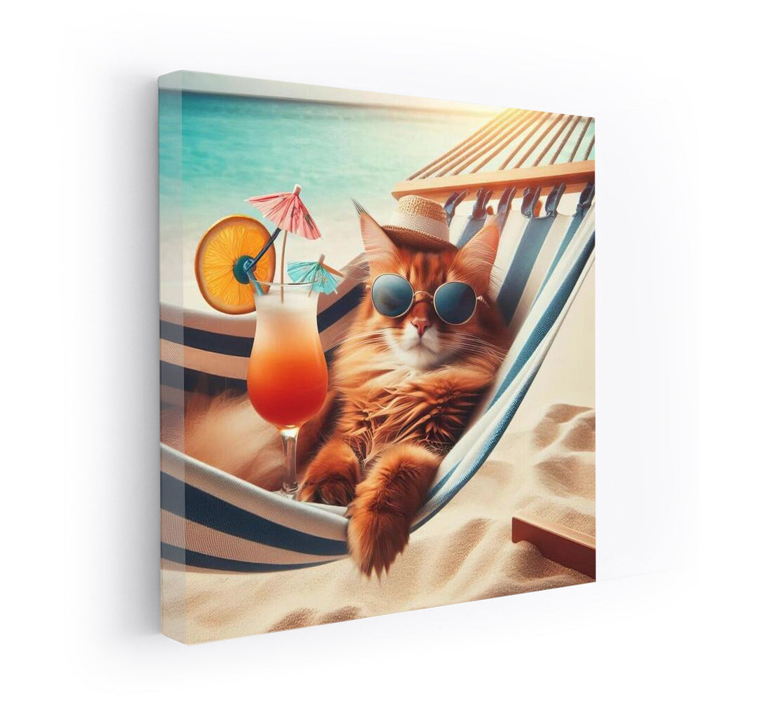 Somali Cat in a Hammock: Summer Vacation with a Cocktail on the Beach