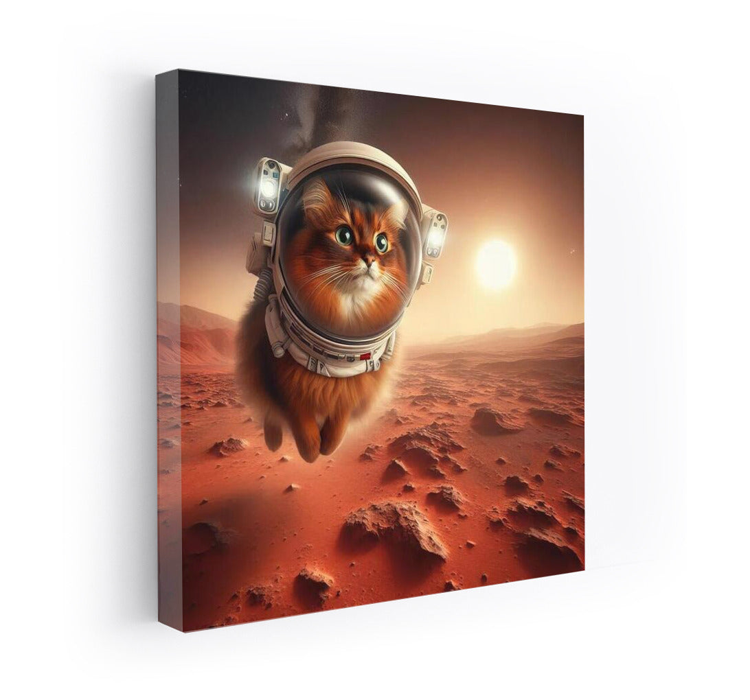 Somali Astronaut Cat on Mars: Landscapes of Exploration