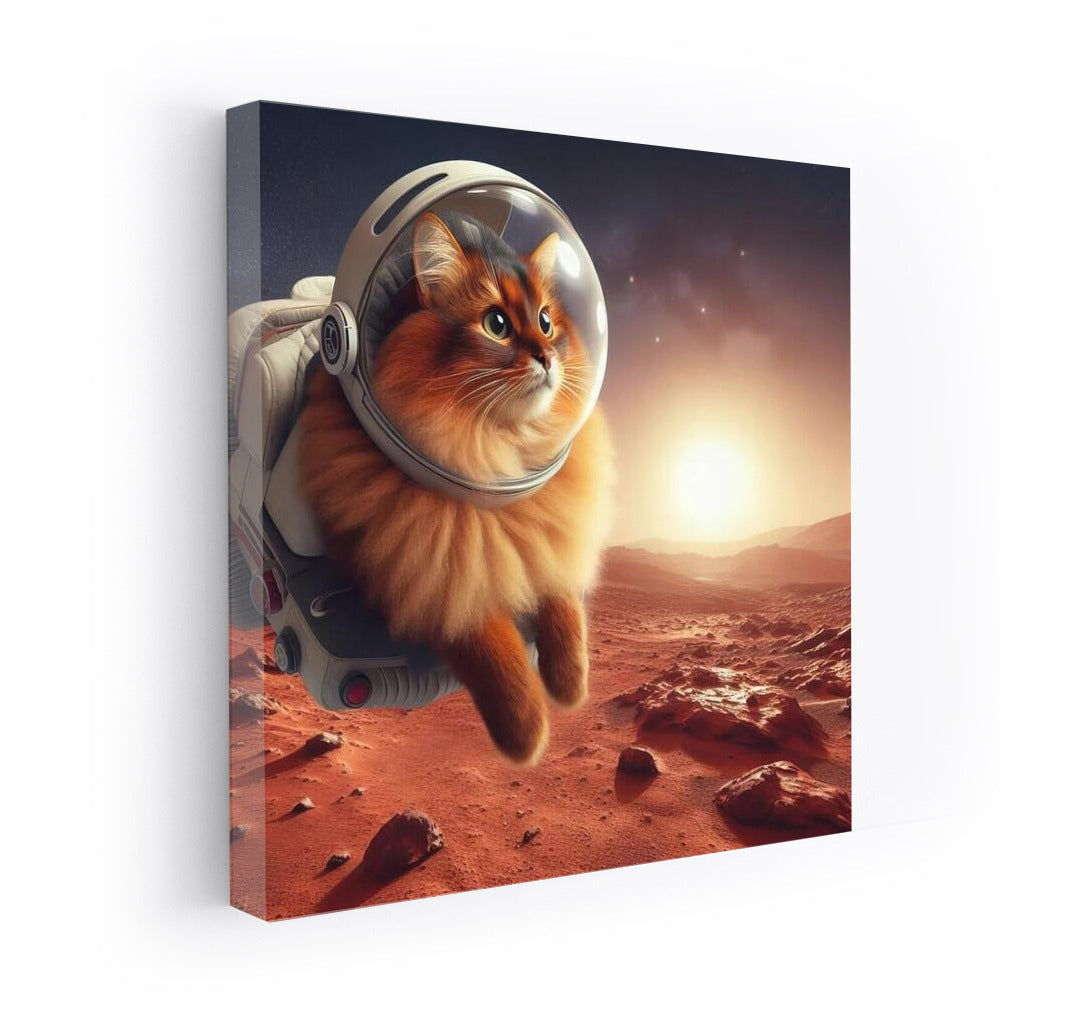 Somali Astronaut Cat on Mars: Somali on Mars 3