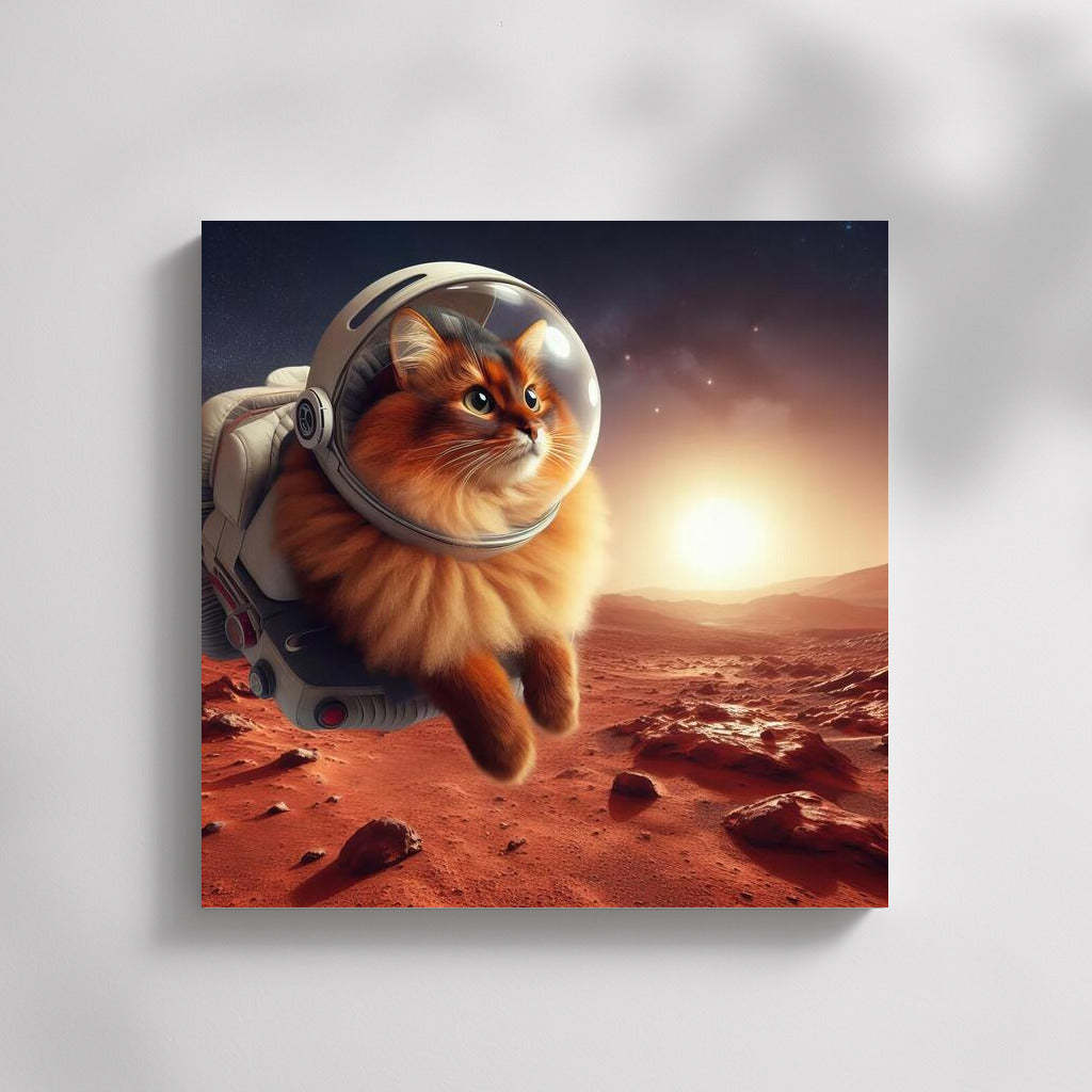Somali Astronaut Cat on Mars: Somali on Mars 3