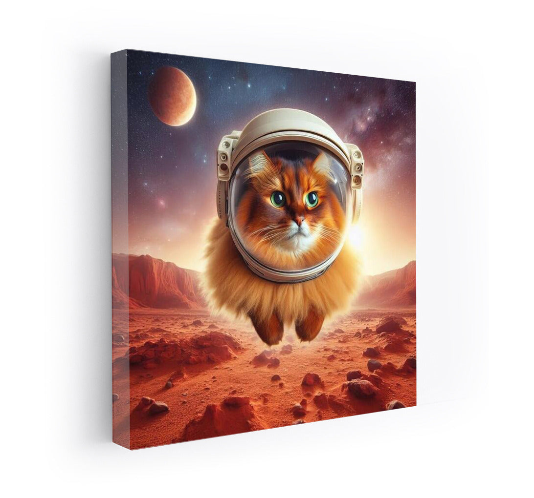 Somali Cat in Space: A Martian Odyssey