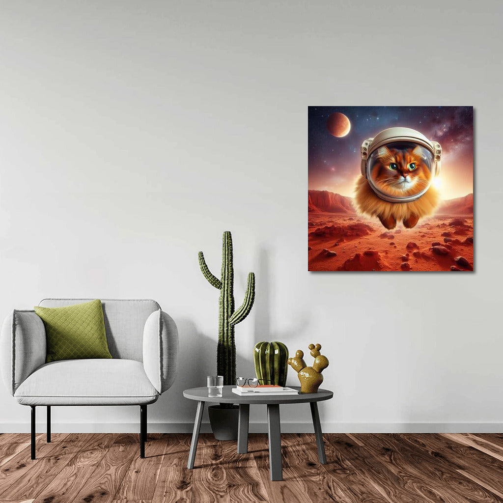Somali Cat in Space: A Martian Odyssey