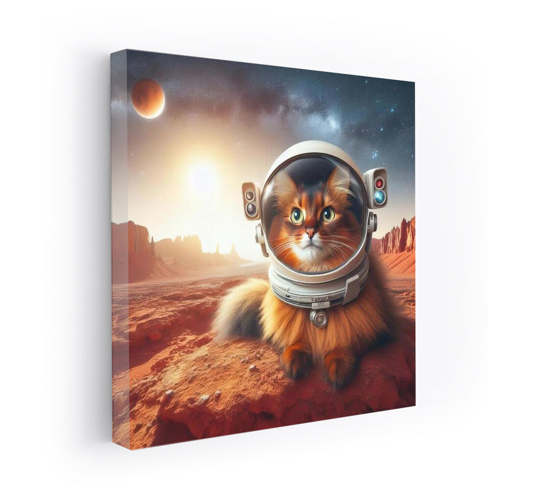 Somali Cat on Mars: Space Journey to the Red Spaces