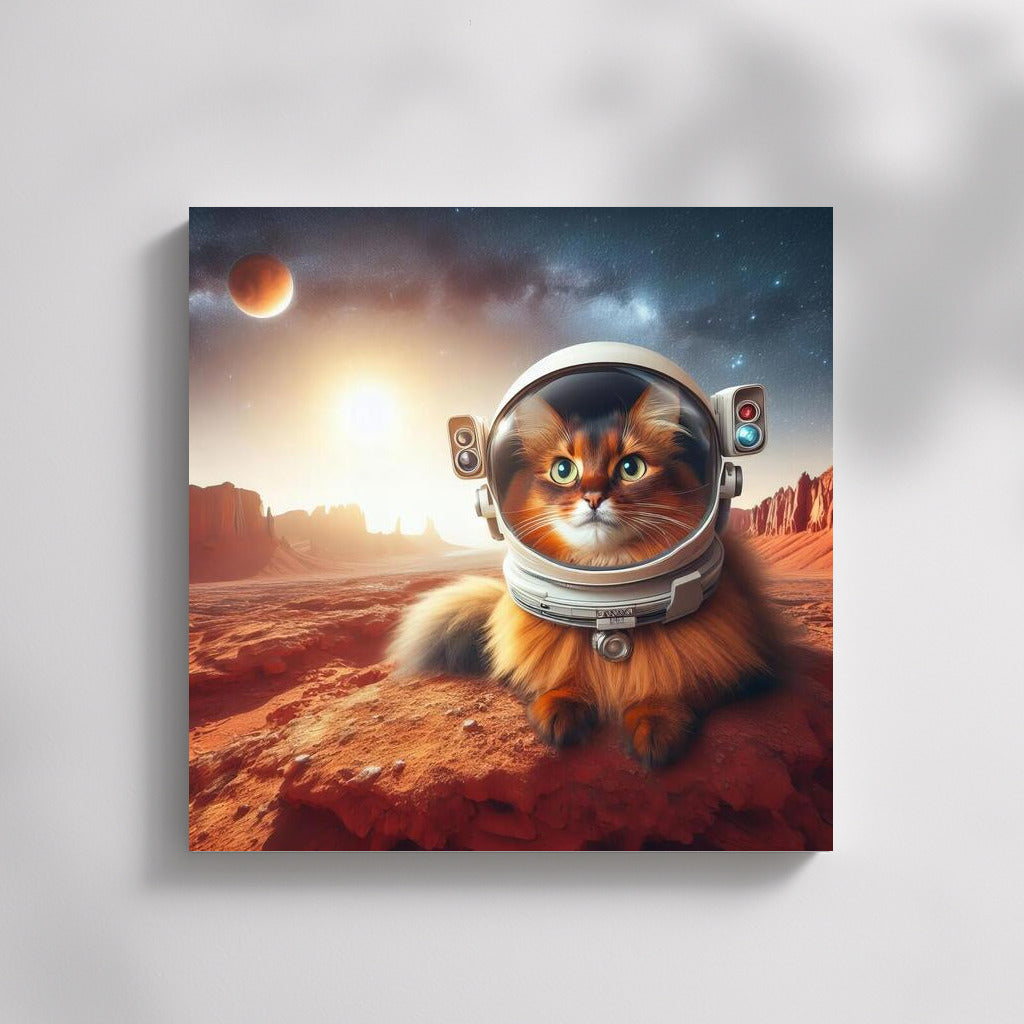 Somali Cat on Mars: Space Journey to the Red Spaces