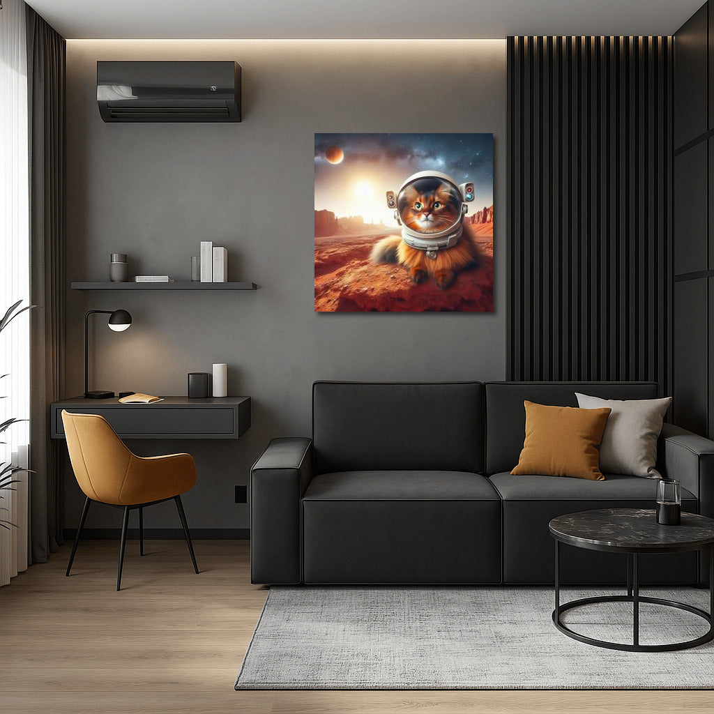 Somali Cat on Mars: Space Journey to the Red Spaces