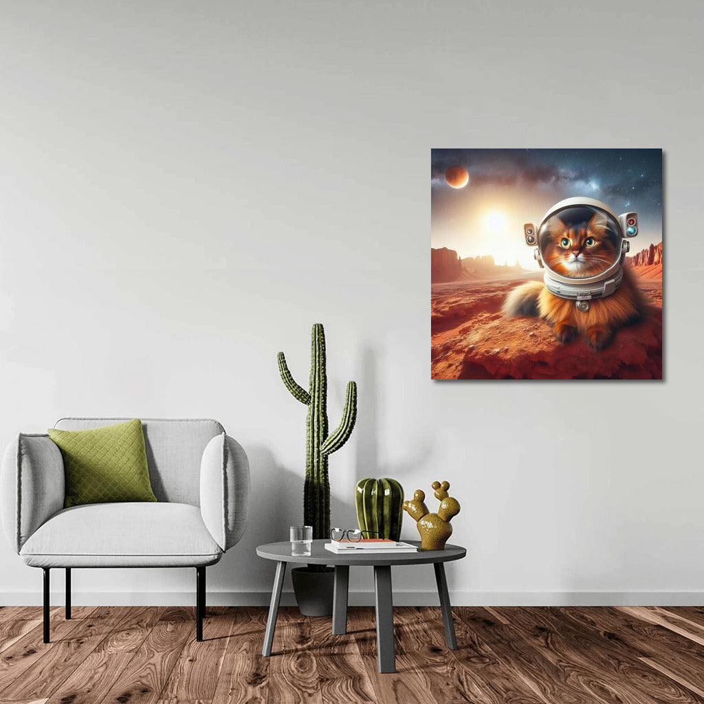 Somali Cat on Mars: Space Journey to the Red Spaces