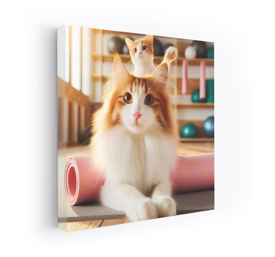 Graceful Turkish Van in Yoga Studio: Fluffy Tranquility on Your Wall