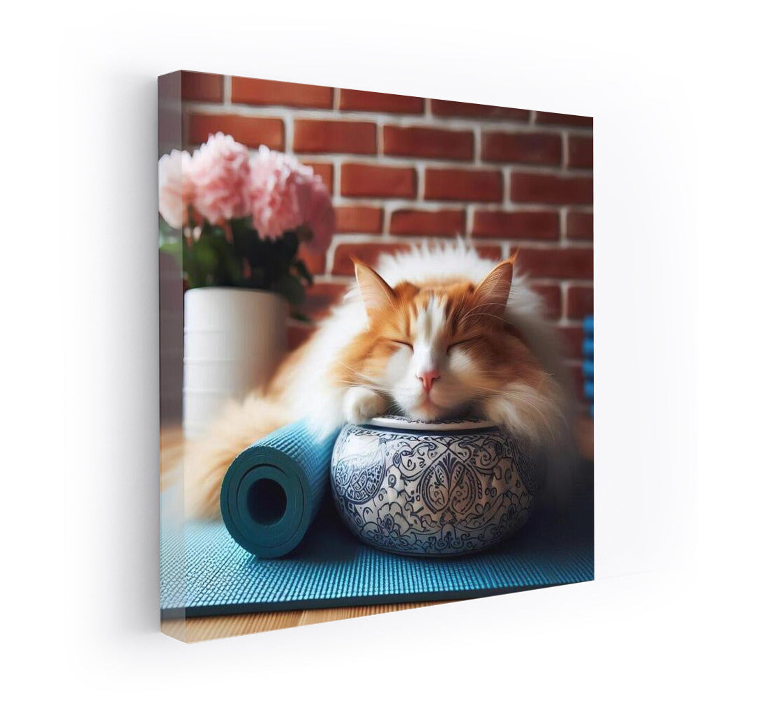 Turkish Van: Yoga Zen in a Studio of Tranquility