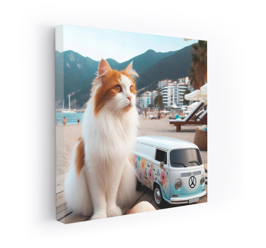 Turkish Van and Volkswagen on Fashion Beach